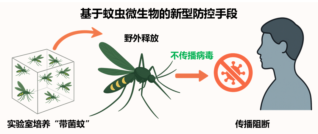 防控手段.png